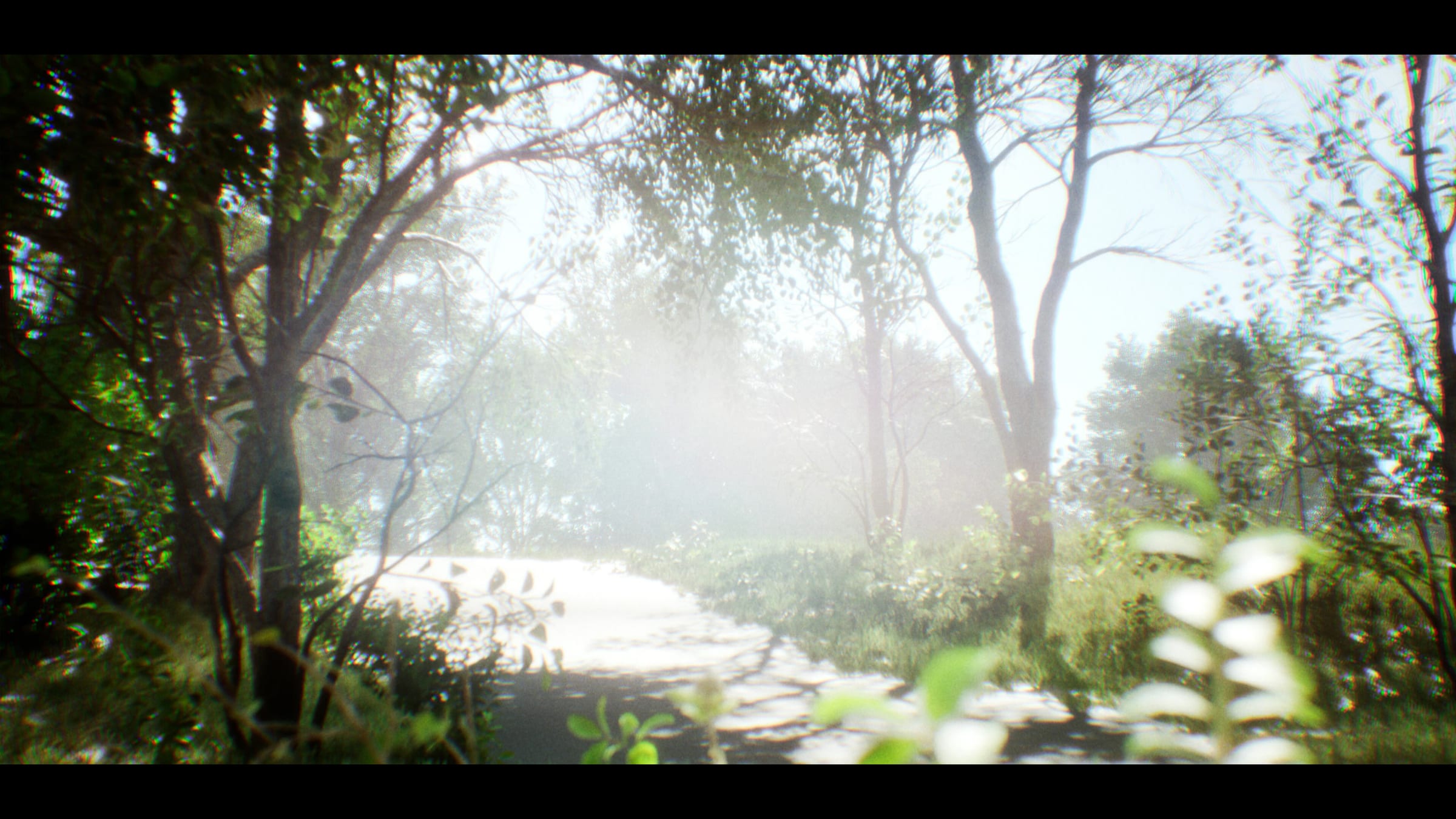 Inside the Summer — 1