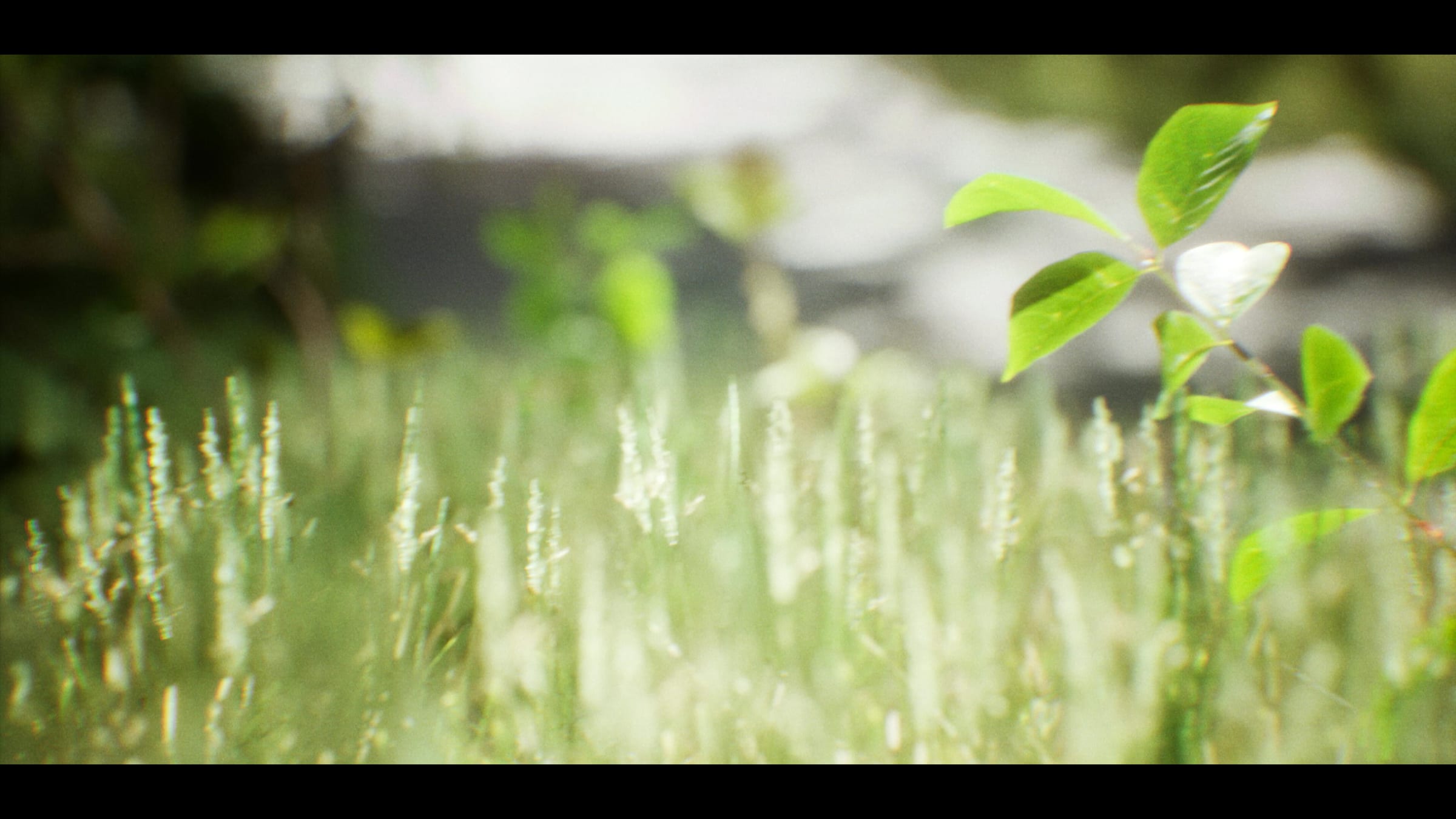 Inside the Summer — 3