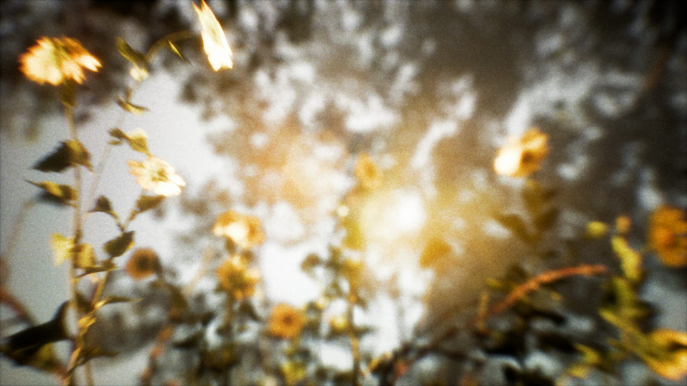 Motion Blur — 1