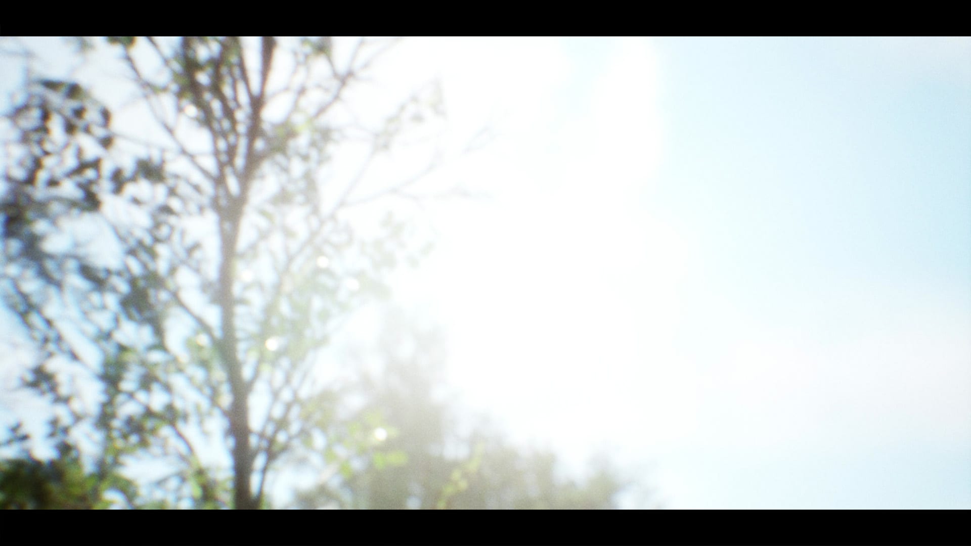 Aspect Ratio — 9